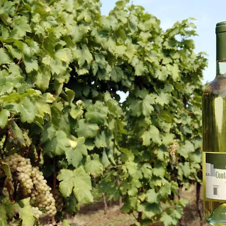 팜스테이 Masseria Ferri *