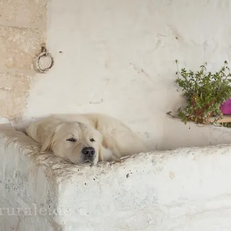 Masseria Ferri 오스투니