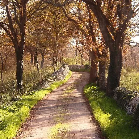 Masseria Ferri * أوستوني