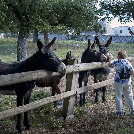 مزرعة للإقامة Masseria Ferri *