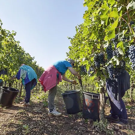 Séjour à la ferme Masseria Ferri