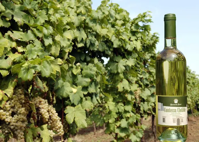 Séjour à la ferme Masseria Ferri *