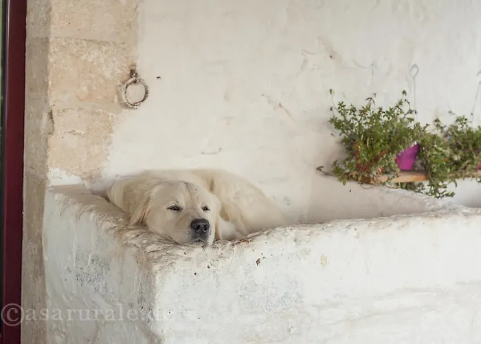 Masseria Ferri Ostuni